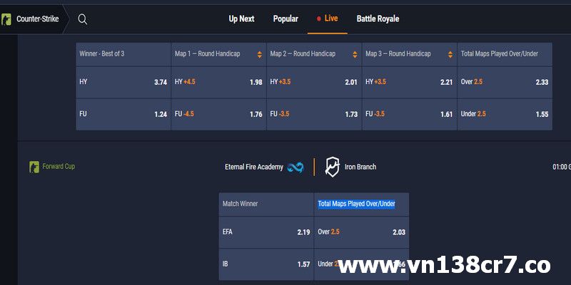 Tìm hiểu các cửa cược được cung cấp trong từng trận cá cược CS Go
