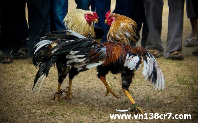 Cách tính tiền - tất cả người chơi cần biết đến
