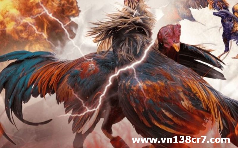 Cập nhật liên tục các trận đá gà online hot