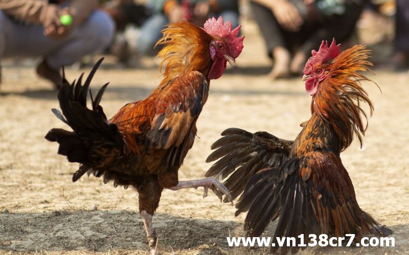Để cuộc chơi luôn thắng cần có chiến thuật và kinh nghiệm
