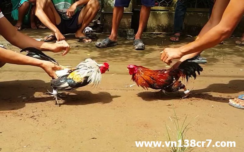 Sức khỏe tốt và có lối đá đẹp
