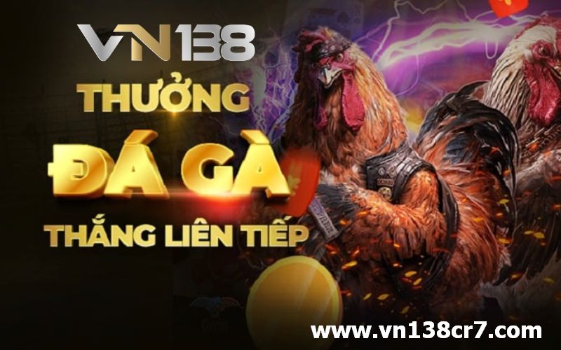 Trang cá cược đá gà uy tín - VN138