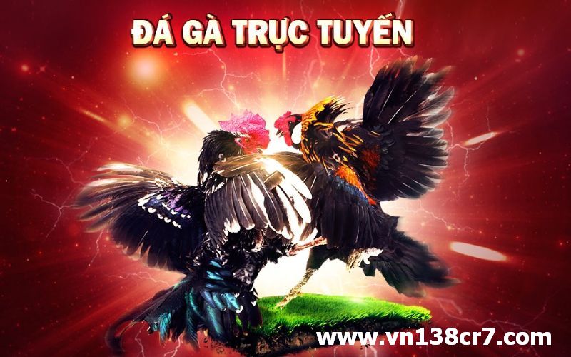 Tựa game hot hàng đầu 2023 - đá gà online
