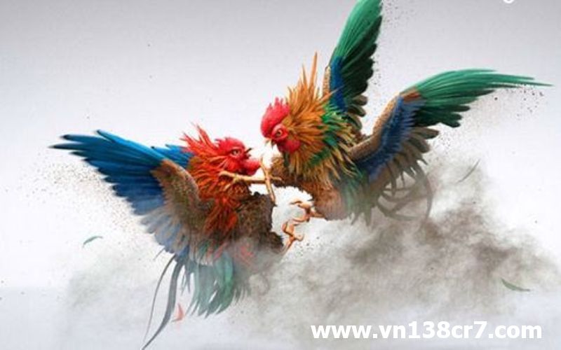 VN138 sân chơi đá gà uy tín
