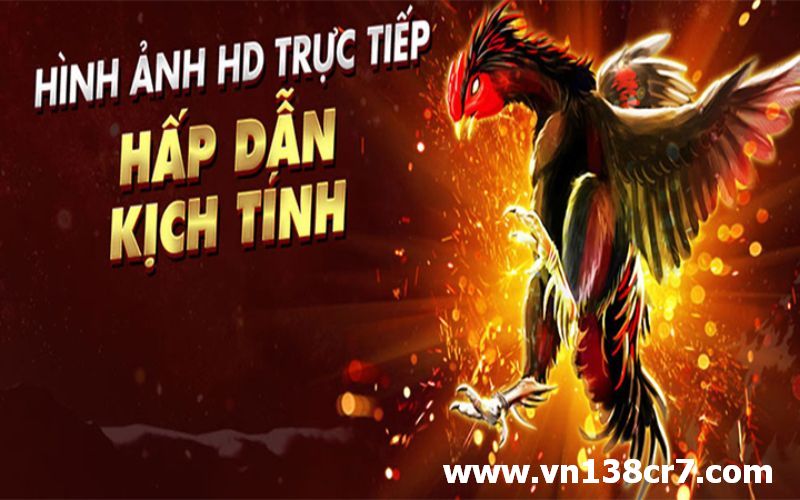 Web cập nhật những trận đấu hot