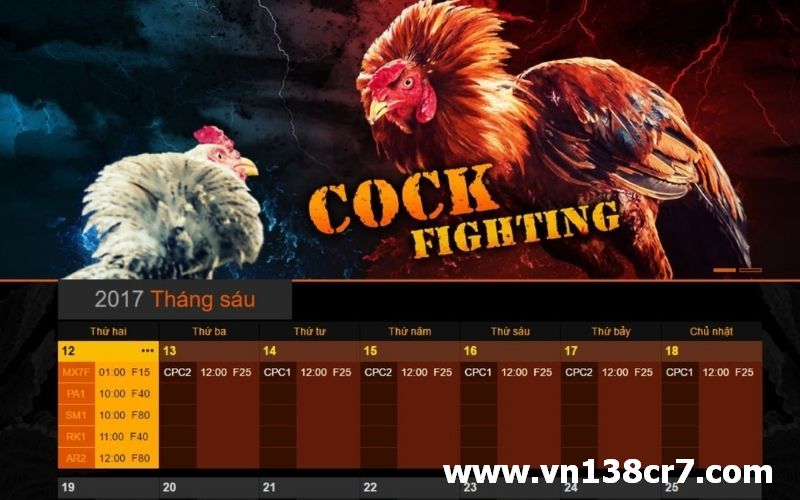 Chơi đá gà online tại các sới hoạt động lâu năm