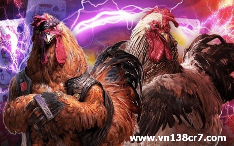 Chọn sàn đá gà uy tín tránh bị lừa bịp