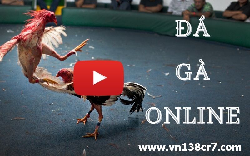 Đá gà online có cách chơi tương tự đá gà ngoài đời