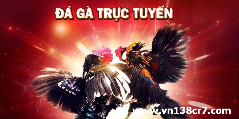 Đá gà online hiện rất phát triển
