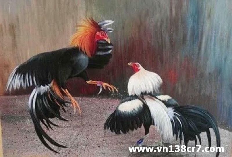 Nơi diễn ra các trận gà hay hấp dẫn