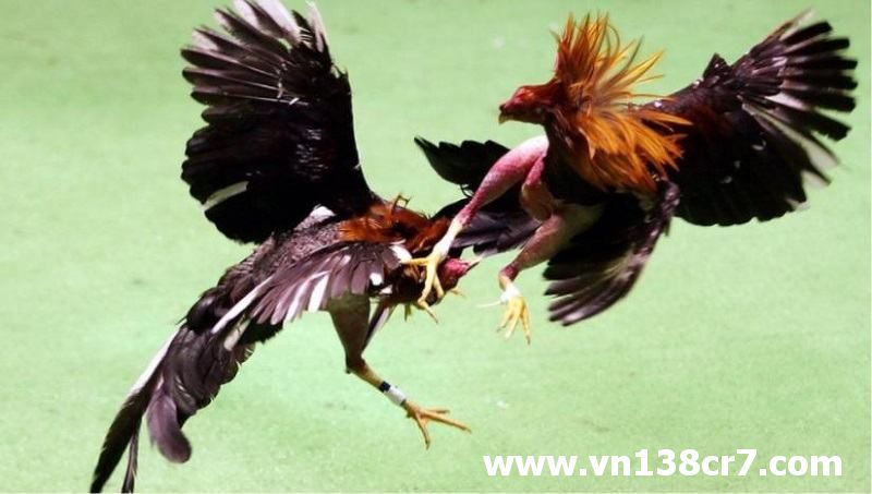 Khoảnh khắc đẹp trong một trận đấu