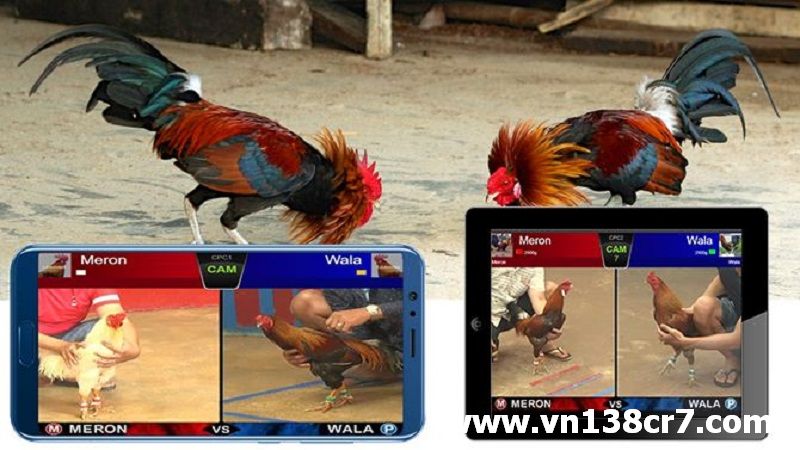Trận đấu thu hút lượt xem kỷ lục