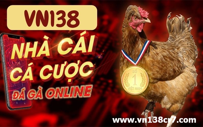 VN138 - sàn đá gà trực tuyến tốt nhất