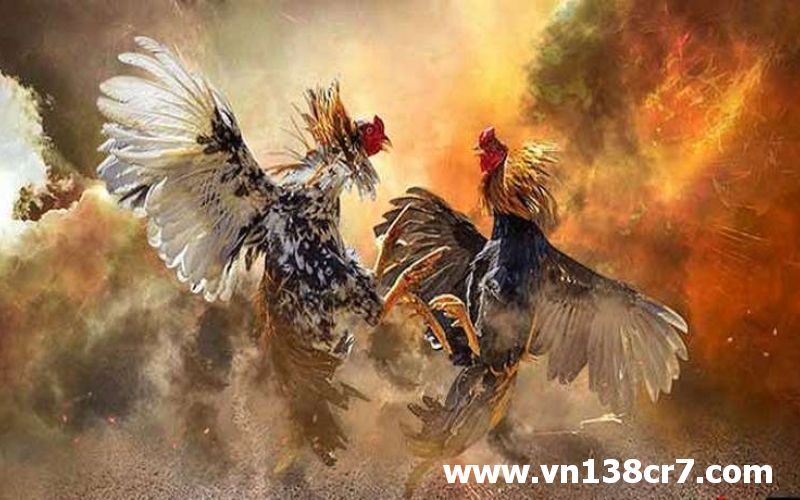 Đá gà trực tiếp Pháp có nhiều ưu điểm