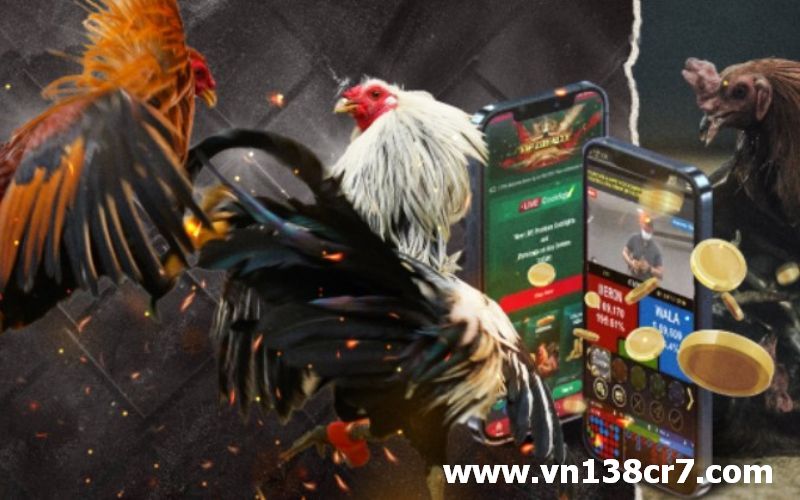Nền tảng website đá gà online