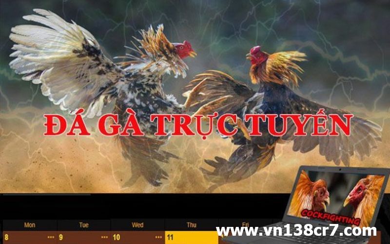 VN138 là địa chỉ uy tín