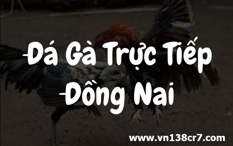Chơi đá gà Đồng Nai trực tiếp