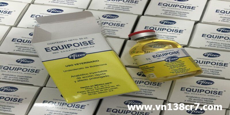 Diện mạo thuốc đá gà Equipoise