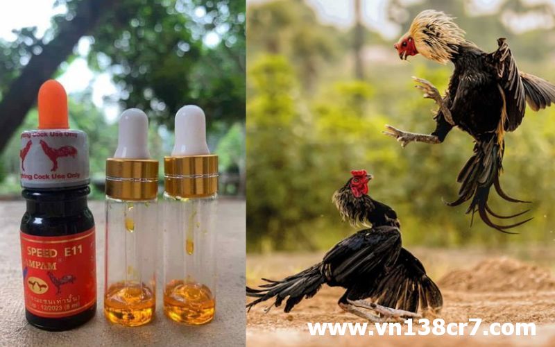 Đọc kỹ hướng dẫn sử dụng thuốc gà đá E11