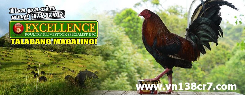 Giới thiệu nguồn gốc thuốc gà đá Excellence