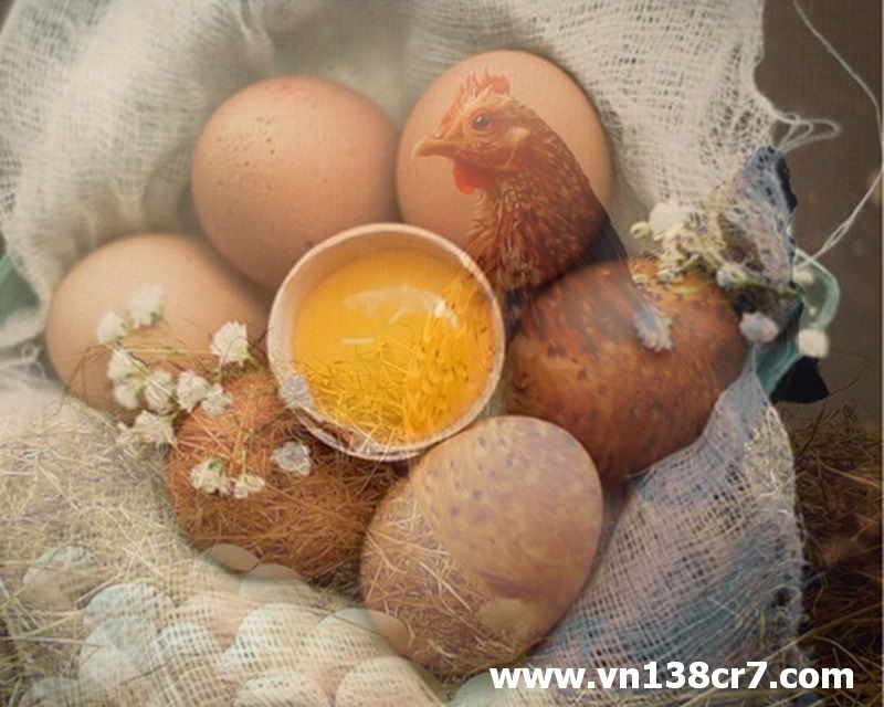 Mật ong kết hợp cùng với lòng đỏ trứng gà