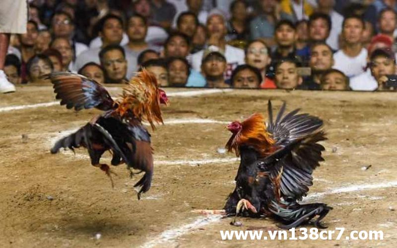 Những đòn tấn công vô cùng mạnh mẽ, quyết liệt