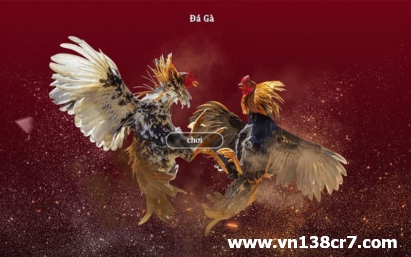 Những trận đấu đỉnh cao