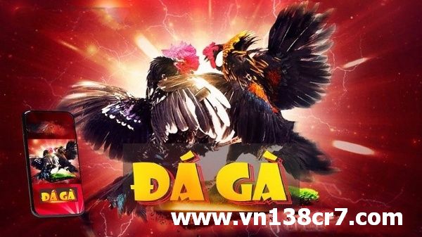 Tại VN138 nơi tường thuật các trận gà nổi tiếng trên thế giới