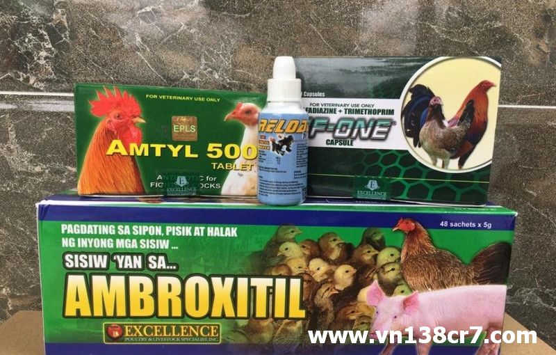 Thuốc Amtyl 500