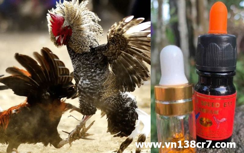 Thuốc gà đá E11 có rất nhiều công dụng