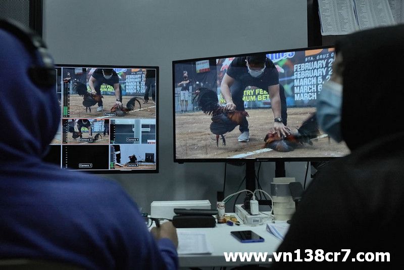 VN138 - Địa chỉ chơi đá gà trực tuyến cực hấp dẫn