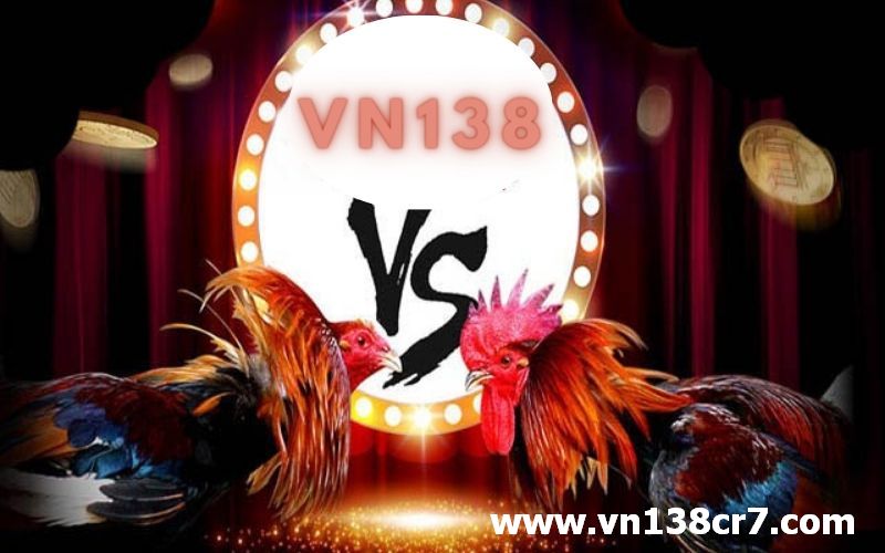 VN138 - trang phát đá gà trực tiếp Singapore uy tín