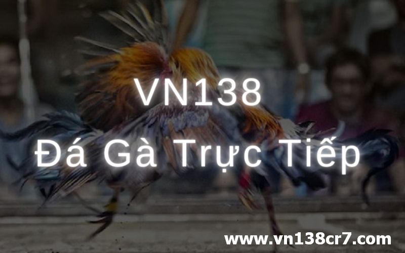 Xem đá gà Senegal trực tiếp qua VN138